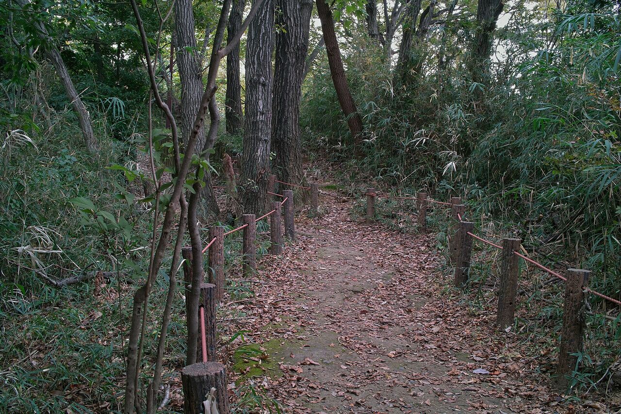 王禅寺ふるさと公園の林の中の小道。両側に木の杭と細いロープが続き、落ち葉が積もっている