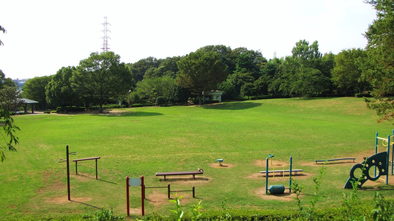 麻生区王禅寺の公園の、広い芝生の広場。運動の遊具が並び、奥に木々と送電線の鉄塔が見える