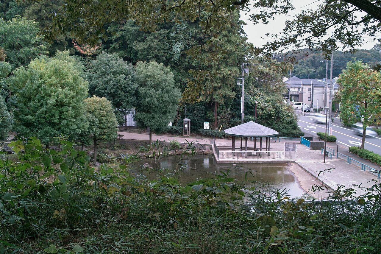 王禅寺ふるさと公園の池とあずまや。奥の木々の向こうに道路と住宅が見える