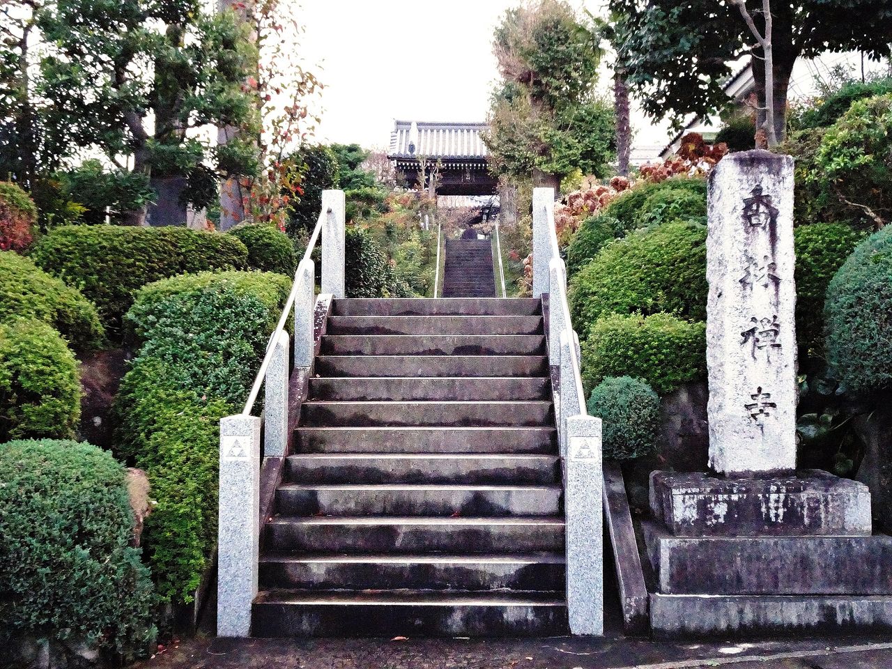 植え込みにはさまれた石段が上へ続き、その先に寺の門が見える。右手に寺の名前を刻んだ石の柱が立つ