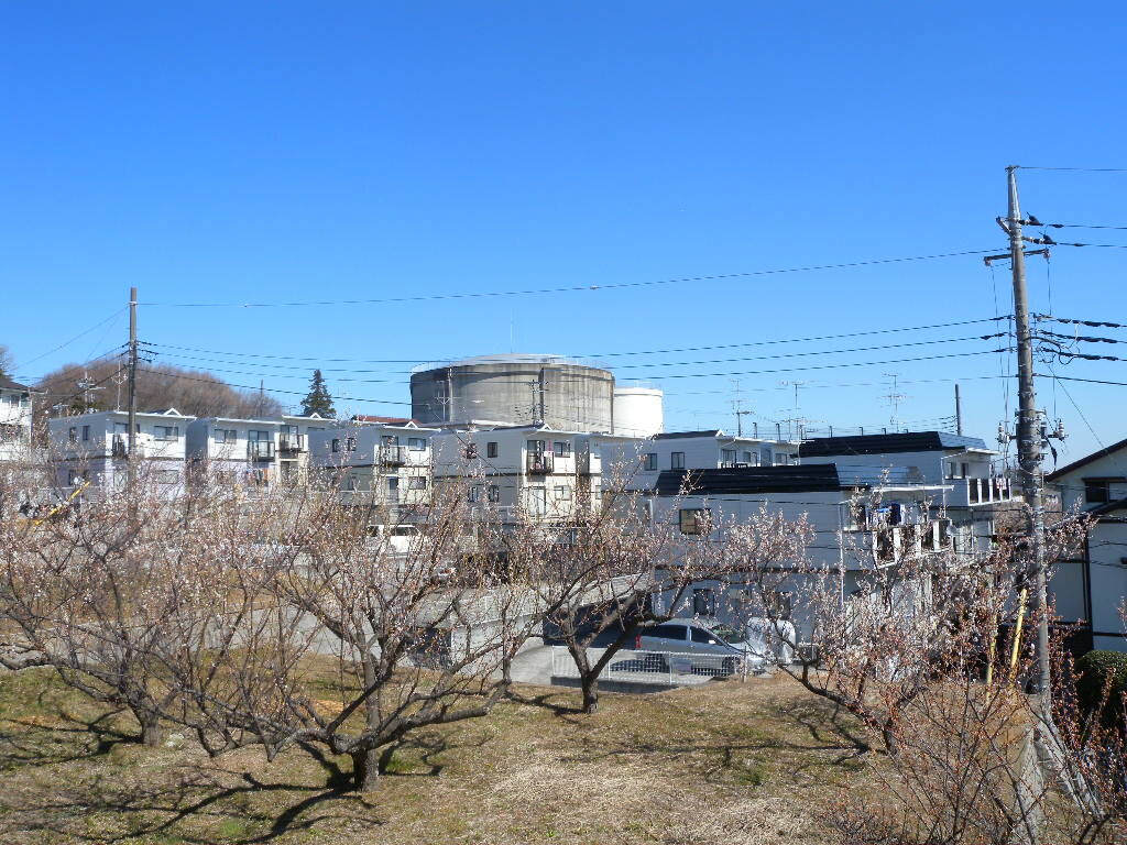 千代ヶ丘の配水塔と、そのまわりに建つ住宅。手前に葉の落ちた木が並ぶ