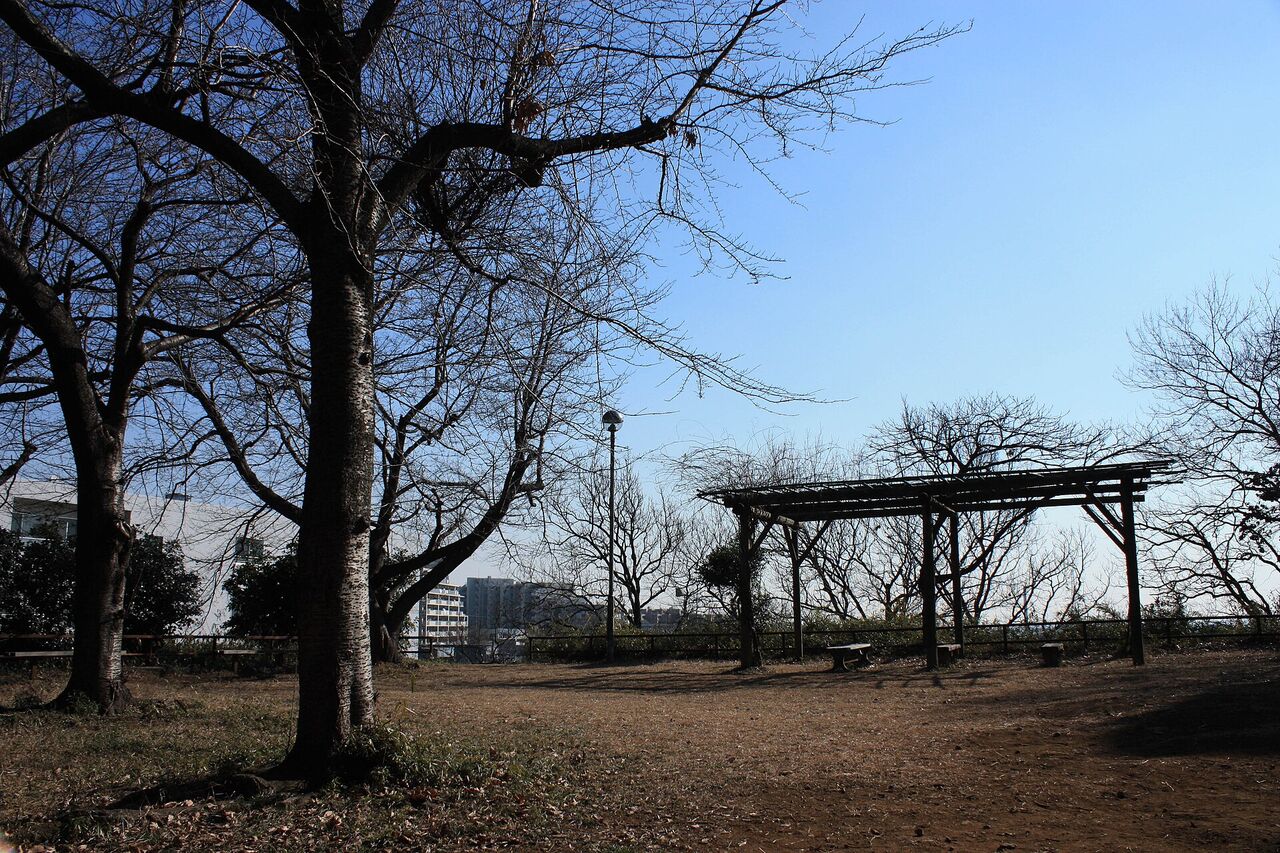 弘法松公園。葉の落ちた木が並ぶ広場に、木の棚（パーゴラ）があり、奥に建物が見える