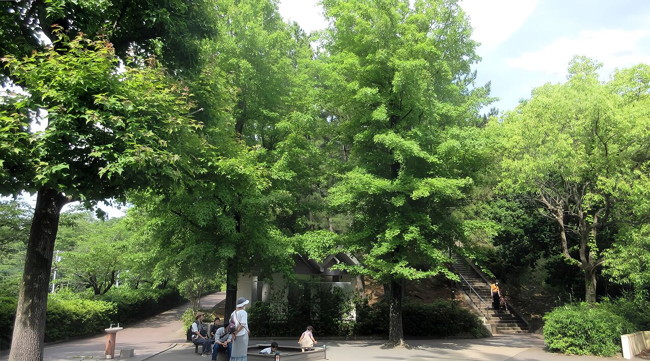 万福寺檜山公園への上り口。木の茂る斜面に階段があり、手前の広場で人が休んでいる