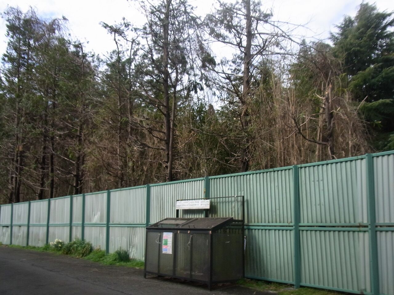 向原2丁目の道ばた。緑色の塀が続き、その向こうに木が茂っている。手前にごみの集積箱がある
